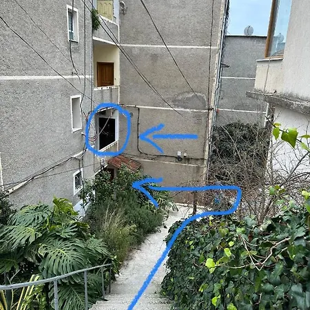 Comfort 2 * סרנדה