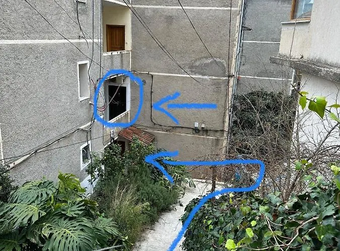 Comfort 2 * סרנדה